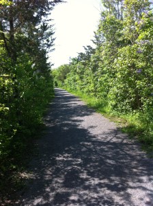 Lovely trail from Batawa to Glen Ross